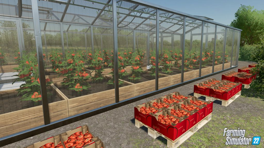 Farming Simulator 22: Uprawiaj warzywa 