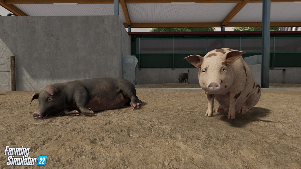 Poręcz FS22 Farm Animals i 10 najważniejszych powodów dla hodowli zwierząt! 