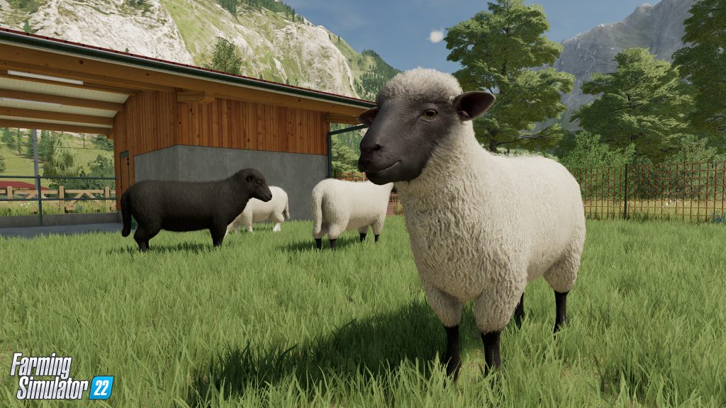 Poręcz FS22 Farm Animals i 10 najważniejszych powodów dla hodowli zwierząt! 