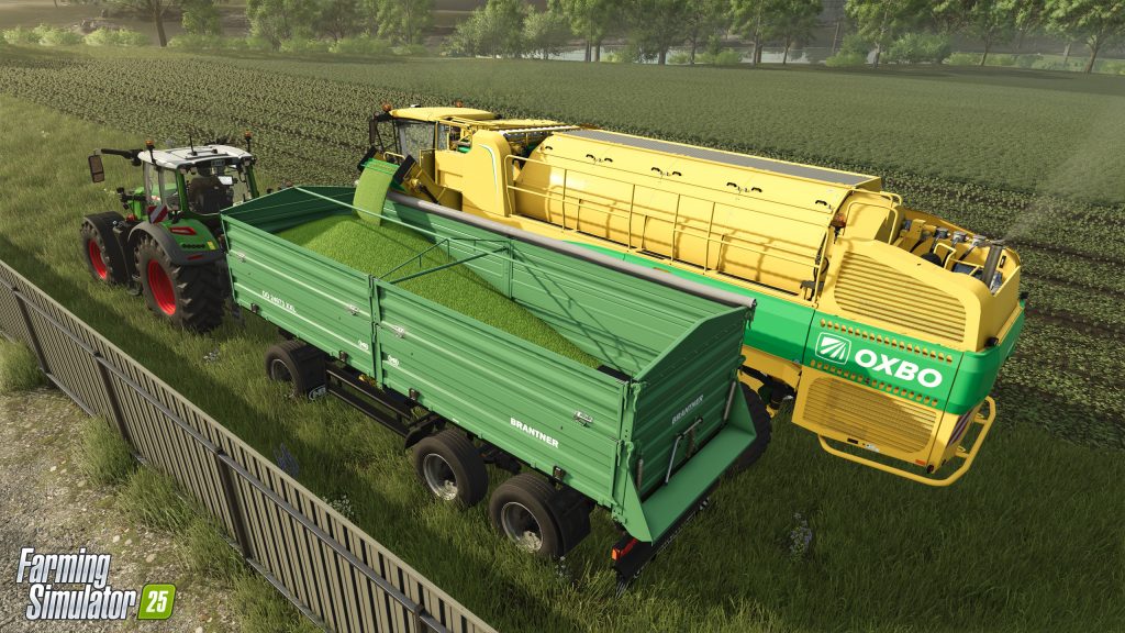 Farming Simulator 25: Kombajn do grochu 