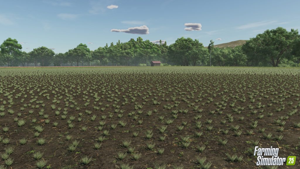 Farming Simulator 25: Kombajn do grochu 