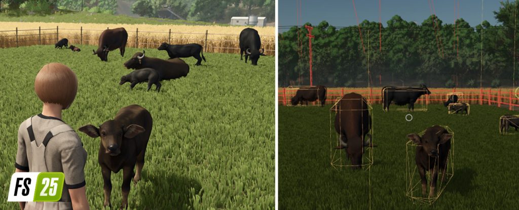 Farming Simulator 25: wypas bydła i bawoły wodne 