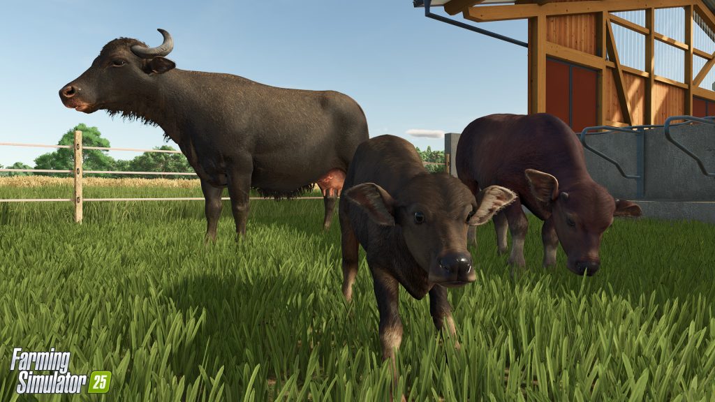 Farming Simulator 25: wypas bydła i bawoły wodne 