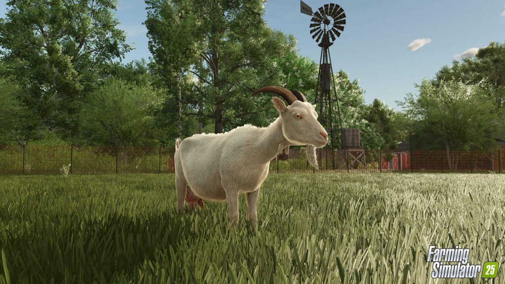 Mleko kozie, ser i inne produkty w Farming Simulator 25 